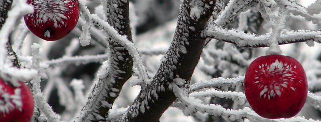 Advent im Naturpark Obst-Hügel-Land