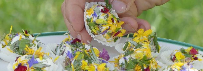 Naturerlebnis und Kulinarik im Obst-Hügel-Land