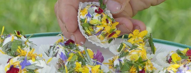 Naturerlebnis und Kulinarik im Obst-Hügel-Land