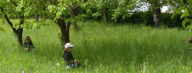 Landschaften voller Tonkünstler