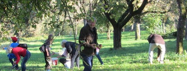Herbst - Zeit zum Obst klauben und Bäume pflanzen