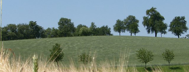 Endlich kommt der Sommer!
