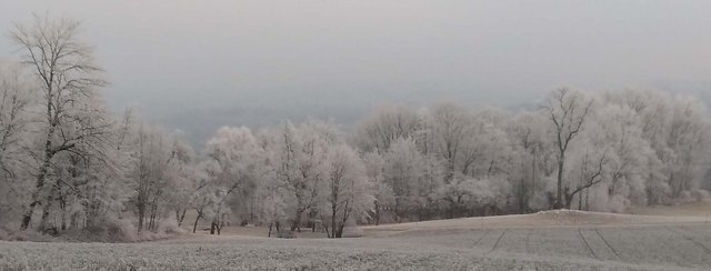 Willkommen im Naturpark-Jahr 2023