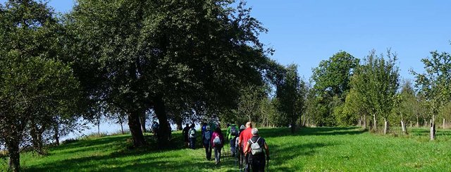 Mitwandern bei der Weberbartl-Apfel-Wanderung!