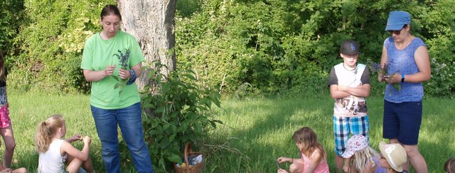 Sommer, Sonne, Ferien