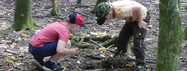 Spiel, Spaß und Naturerlebnisse in den Sommerferien