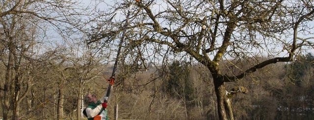 Veranstaltungstipps im Naturpark Obst-Hügel-Land