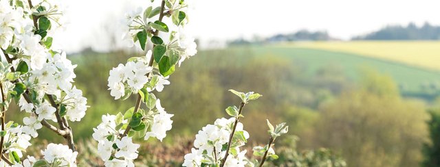 Der Naturpark ist aufgeblüht!