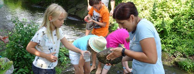 Sommer, Sonne, Kirschenzeit!