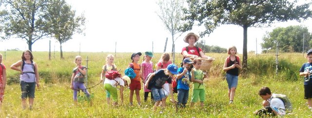 Natur(park) erleben in den Sommerferien!