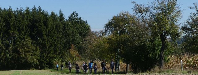Herbst - Zeit zum Wandern, Fotografieren und Bäume pflanzen